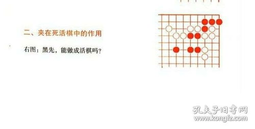 围棋入门与提高正版教材书籍成人儿童少图说书入门围棋
