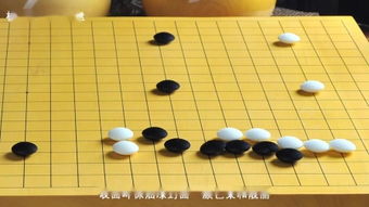 围棋视频 –