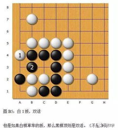 死活难点解析 围棋 金柜角 全紧气情况变化详解