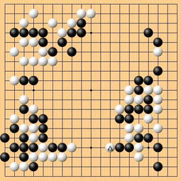 申真谞 围棋理论须忘却 世界冠军徐徐图之