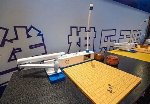 钱塘问道暨小明围棋机器人发布会在萧山顺利举行