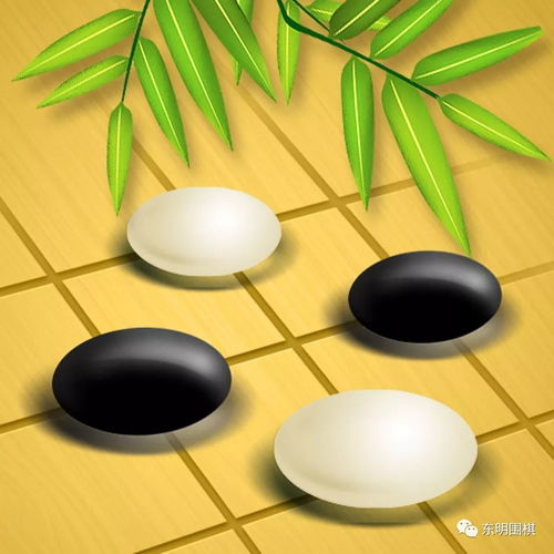 石河子围棋协会第五届会员擂台赛先锋之战开赛
