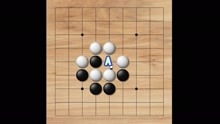 聂卫平围棋入门精品课堂 开启智慧对弈之旅
