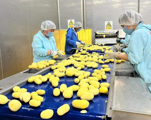 福满兴食品厂投产，利群商业集团布局全产业链再落一子