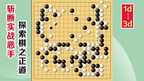 围棋实战解说 级位至段位涨棋捷径，反守为攻的制胜之道